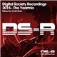 Various - Digital Society Recordings 2015 - The Yearmix