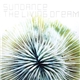 Sundance - The Living Dream